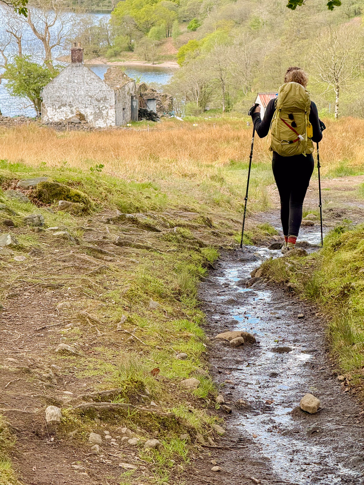 Rowardennan to Inverarnan taking the low route around the loch in Scotland on the West Highland Way. 
