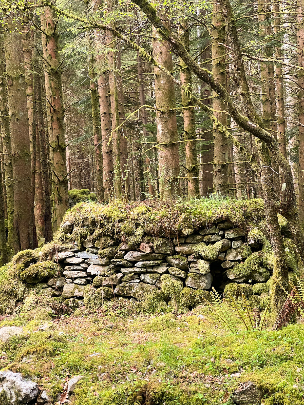 old settlement in scotland on West highland way trail 