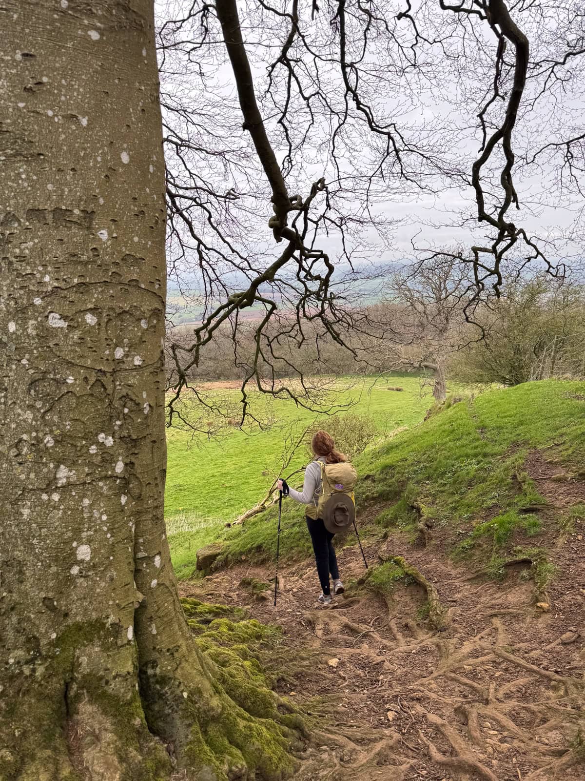 hiking in the cotswolds