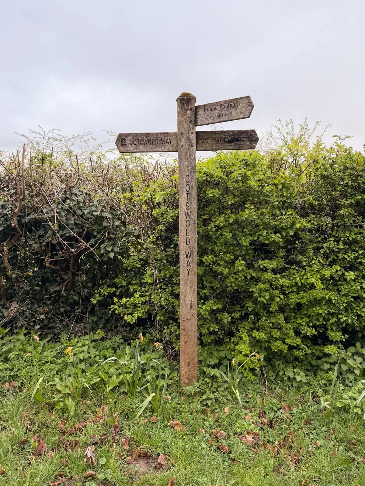 The cotswold way signpost marking the trail and public footpaths